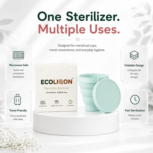 Foldable Sterilizer